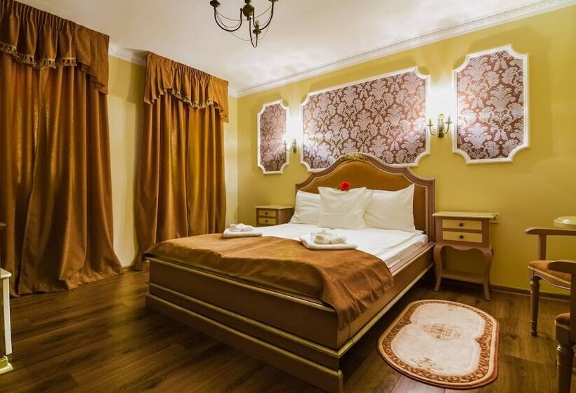 デラックススタジオ, Rosen Villa Sibiu