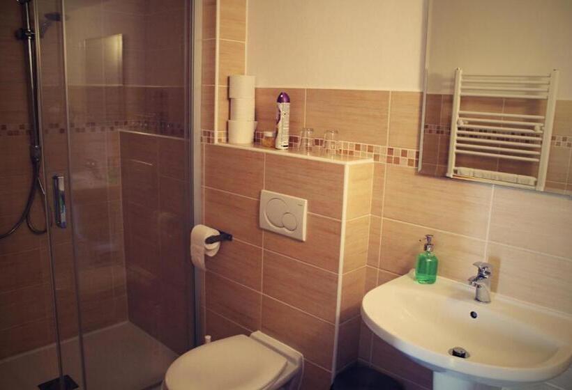 غرفة قياسية, Vinařský Penzion Přední Hora