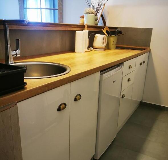 آپارتمان 1 خوابه, Guest House Relić