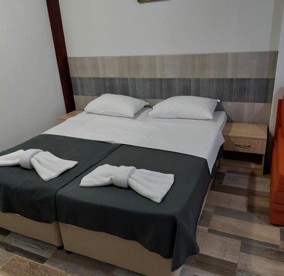 استودیوی استاندارد, Guest House Tedi