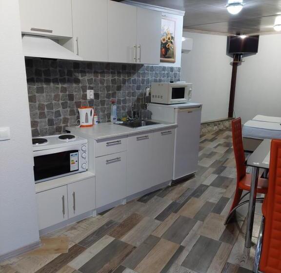 استودیوی استاندارد, Guest House Tedi