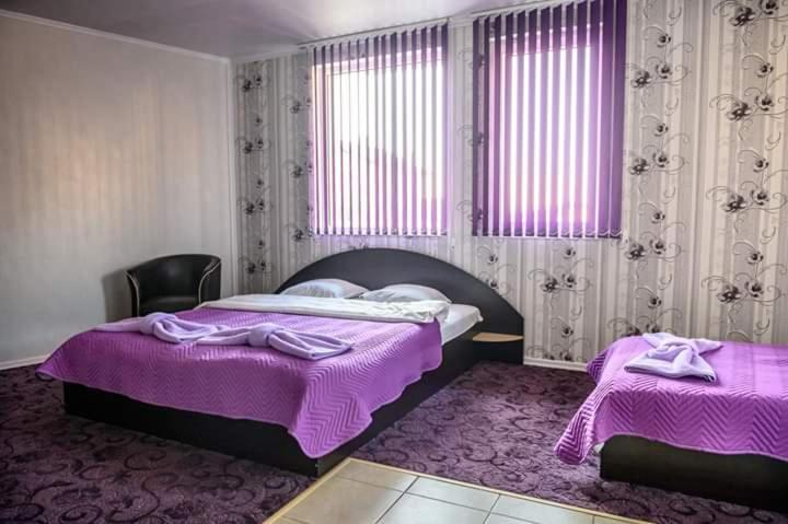 اتاق استاندارد, Guest House Tedi