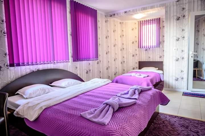 اتاق استاندارد, Guest House Tedi