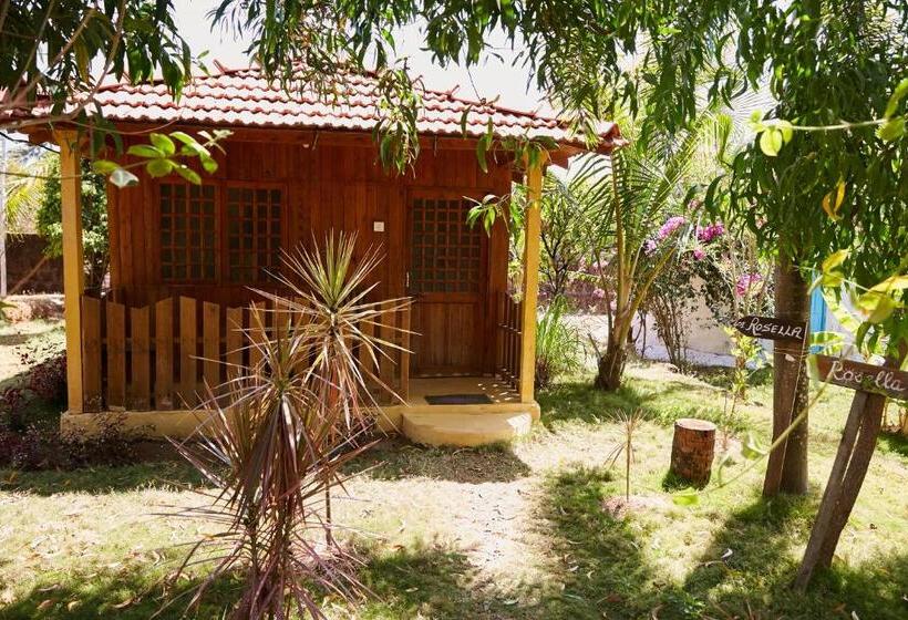 غرفة ديلوكس, Jamboree Creek Yoga