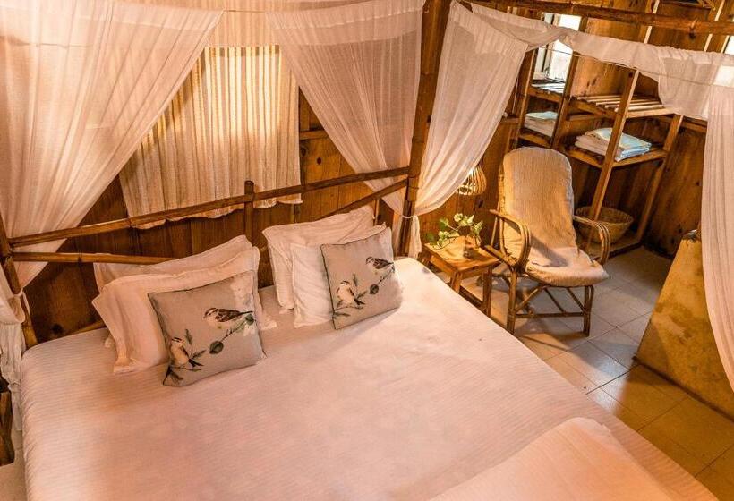 غرفة قياسية, Jamboree Creek Yoga