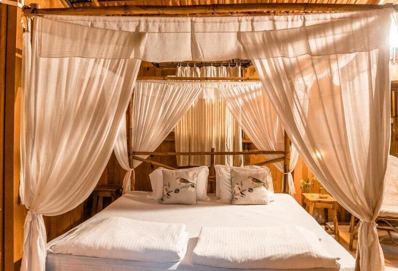 غرفة قياسية, Jamboree Creek Yoga