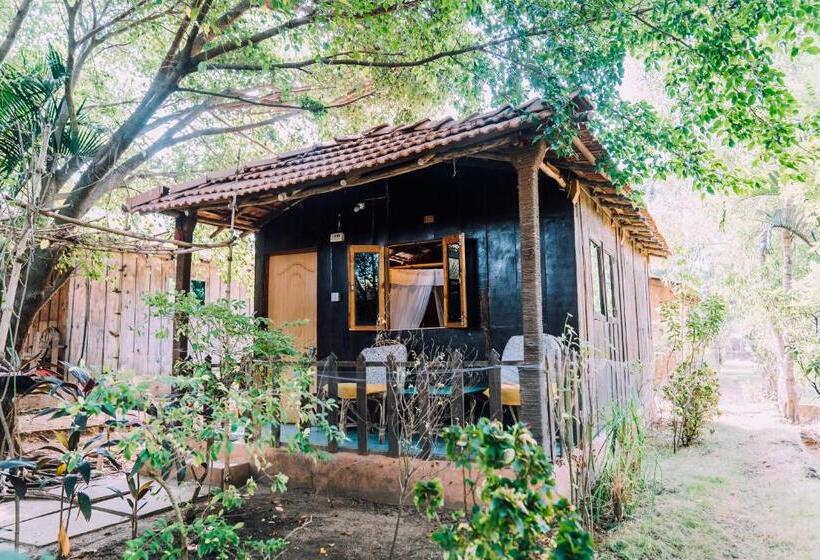 غرفة قياسية, Jamboree Creek Yoga