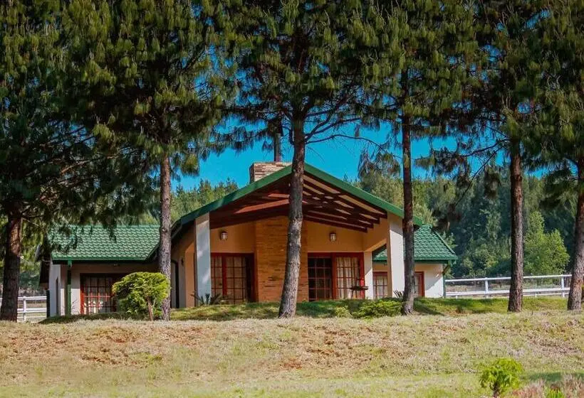کلبه ییلاقی, Silver Mist Resort, Haenertsburg