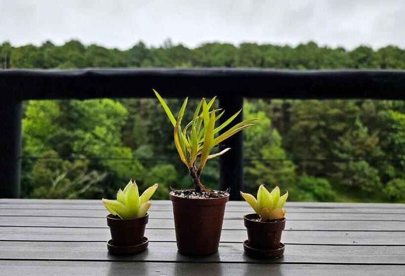 شاليه سوبيريور غرفة نوم واحدة, Silver Mist Resort, Haenertsburg