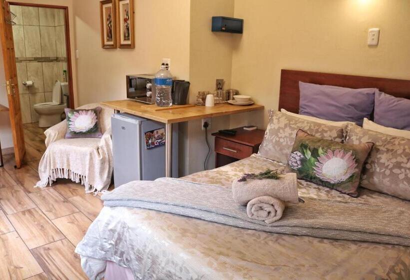 스탠다드 스튜디오, Kairos Home