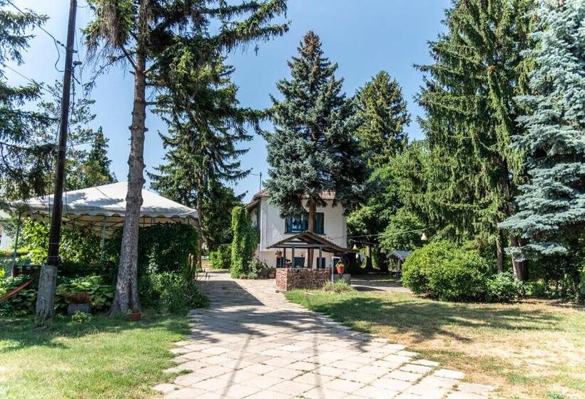 Номер Стандарт, Liget Vendégház