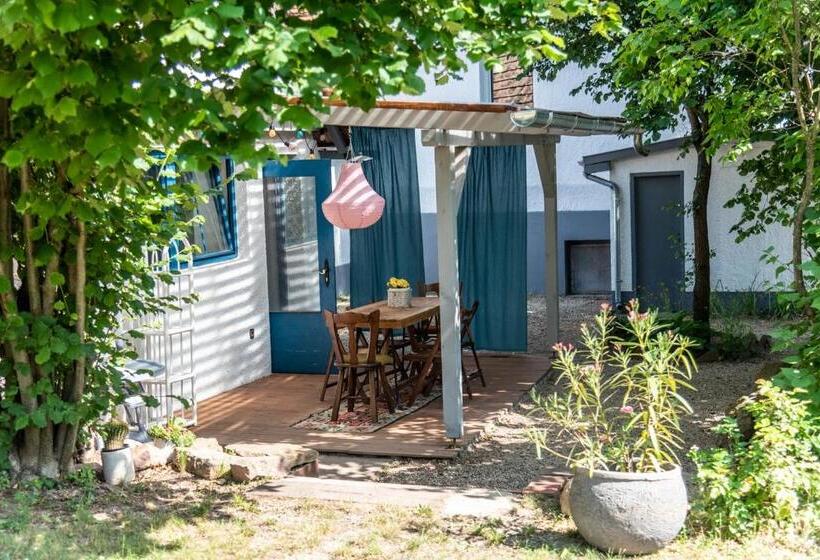 Апартаменты 1 Спальня с Террасой, Liget Vendégház