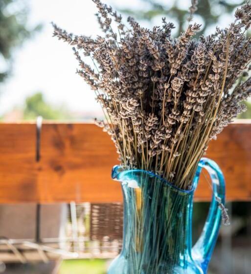 Апартаменты 2 Спальни, Liget Vendégház