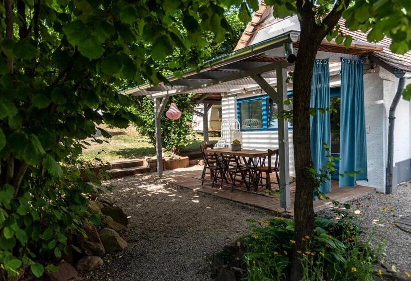 Апартаменты 1 Спальня с Террасой, Liget Vendégház