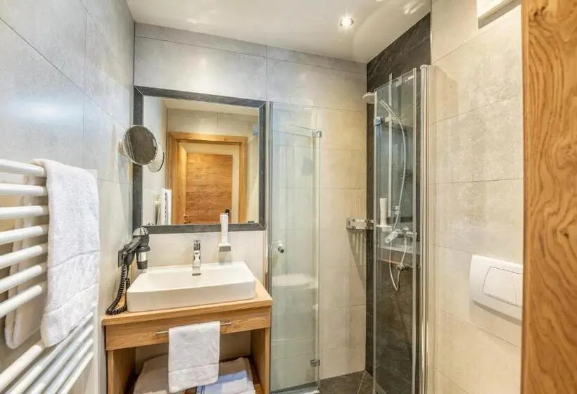 Standard Single Room, Aparthotel Weningeralm