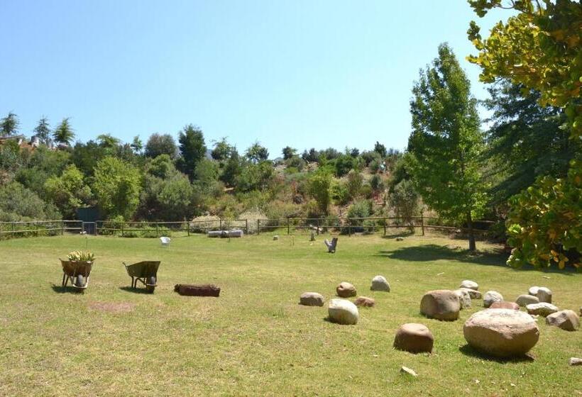 标准间带山景, Glasshouse In The Winelands