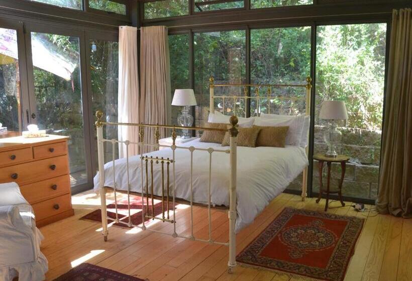 Номер Стандарт Вид на Горы, Glasshouse In The Winelands