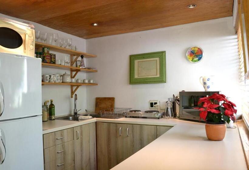 标准间带山景, Glasshouse In The Winelands