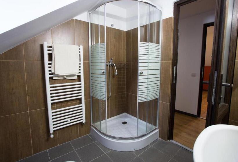 חדר סטנדרט, Castelul Stirbey