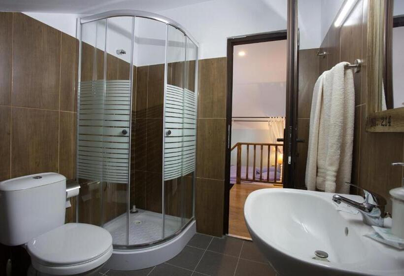 חדר סטנדרט, Castelul Stirbey