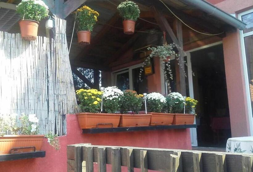 اتاق اکونومی, Guest House Mirijevski Konak