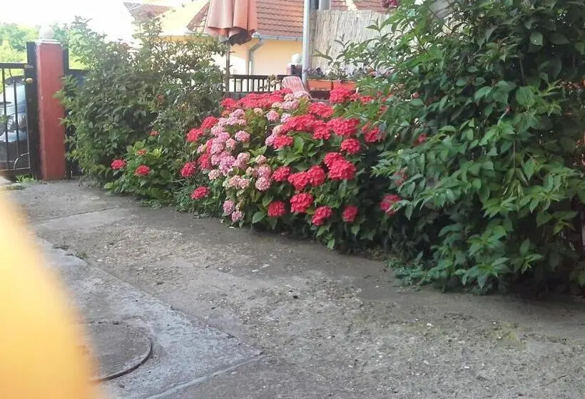 اتاق استاندارد با بالکن, Guest House Mirijevski Konak