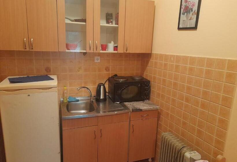 استودیو خانوادگی, Guest House Mirijevski Konak