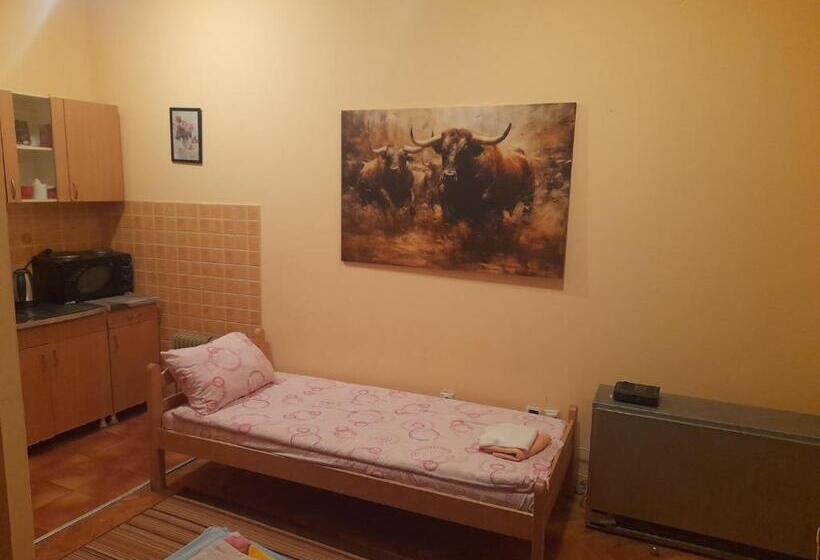 استودیو خانوادگی, Guest House Mirijevski Konak