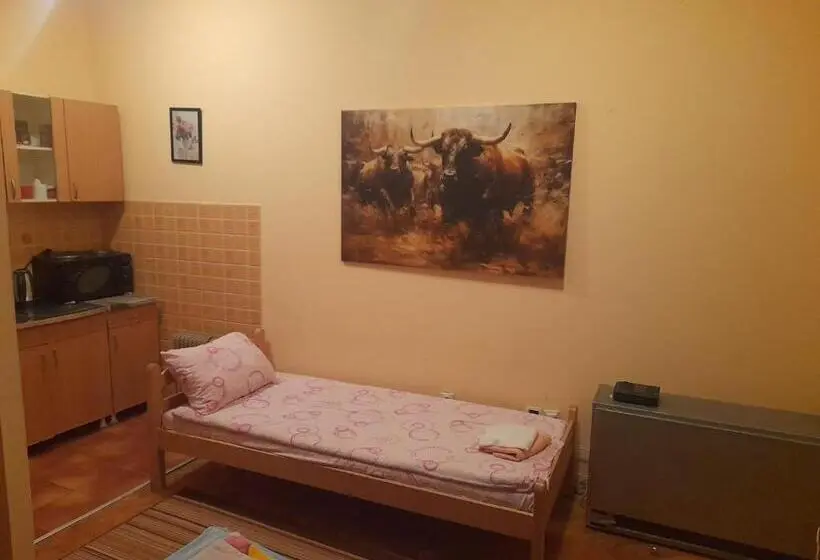 استودیو خانوادگی, Guest House Mirijevski Konak