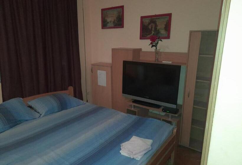 استودیو خانوادگی, Guest House Mirijevski Konak