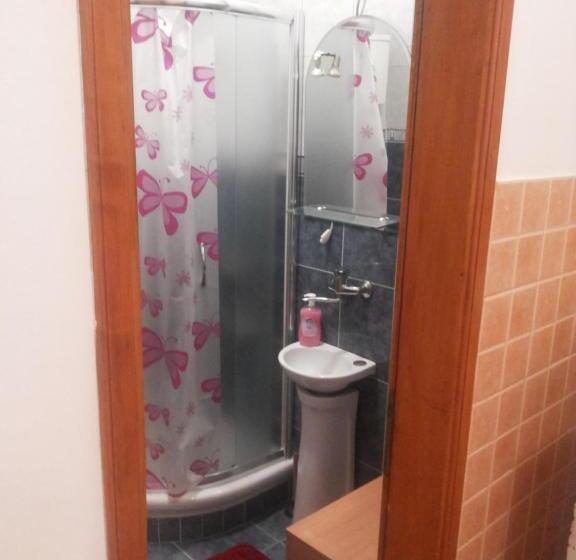 استودیو خانوادگی, Guest House Mirijevski Konak