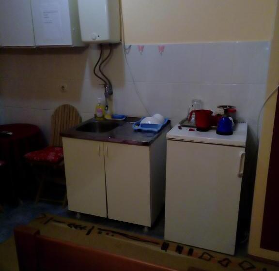 آپارتمان 1 خوابه, Guest House Mirijevski Konak