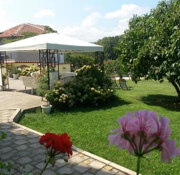 스탠다드 스튜디오 (테라스구비), Guesthouse Kamelia