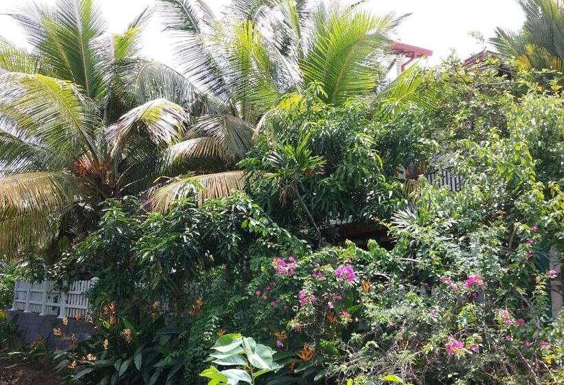 חדר דלוקס, Style Villa