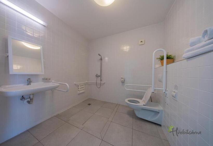 اتاق استاندارد برای معلولان, Restaurace A Pension Hřebíkárna