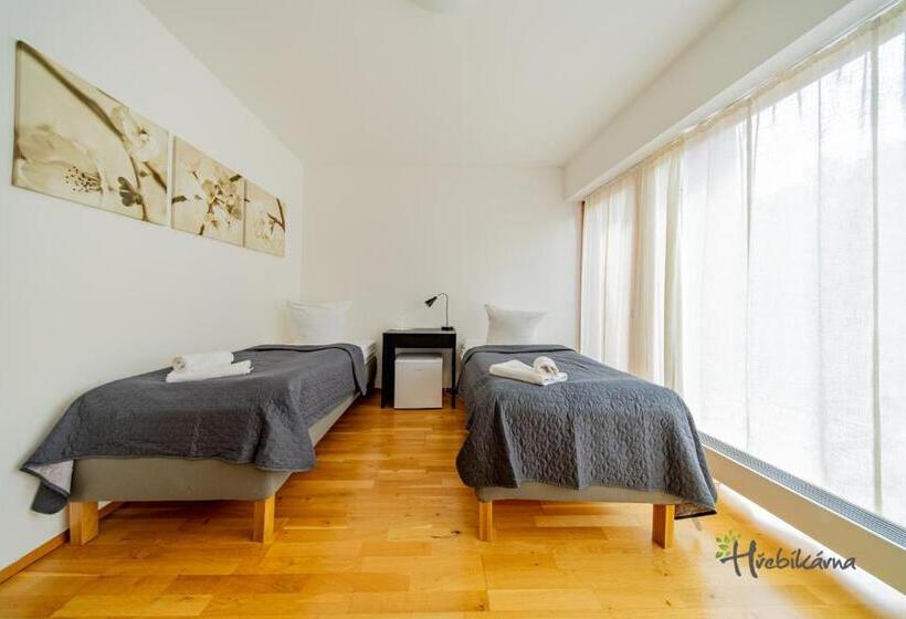 اتاق استاندارد برای معلولان, Restaurace A Pension Hřebíkárna