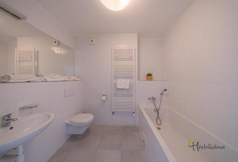 اتاق استاندارد چهار تخته, Restaurace A Pension Hřebíkárna