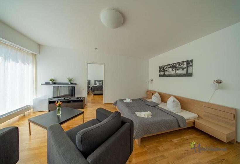 اتاق استاندارد چهار تخته, Restaurace A Pension Hřebíkárna