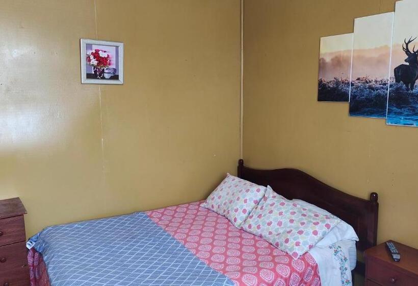 اتاق استاندارد چهارنفره با سرویس بهداشتی مشترک, Hostal Valdivia
