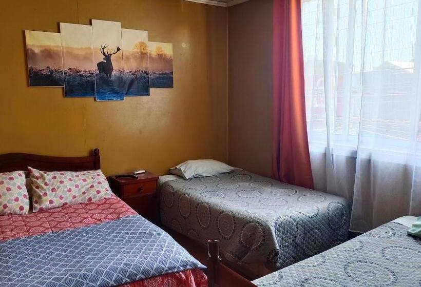 اتاق استاندارد چهارنفره با سرویس بهداشتی مشترک, Hostal Valdivia