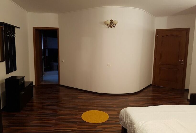 اتاق لوکس با چشمانداز شهر, Liz Residence