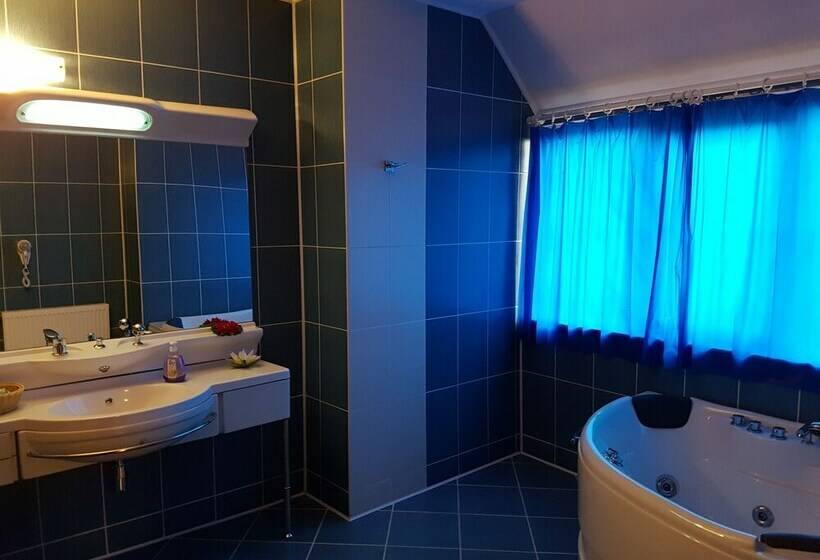 اتاق لوکس با چشمانداز شهر, Liz Residence