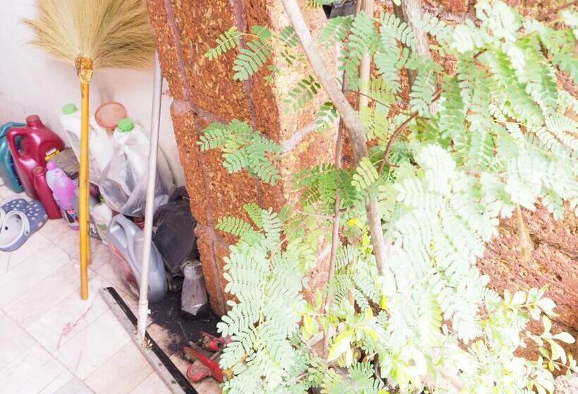 חדר סטנדרט, Three J Guesthouse