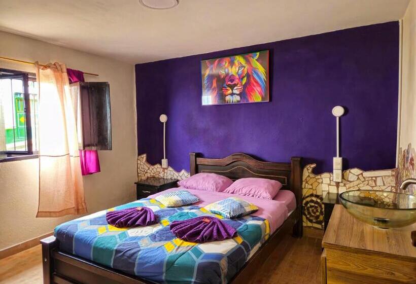 اتاق استاندارد, Hostal Bambu