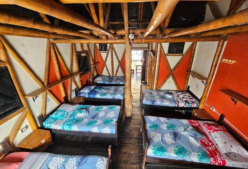 تختخواب در اتاق مشترک, Hostal Bambu