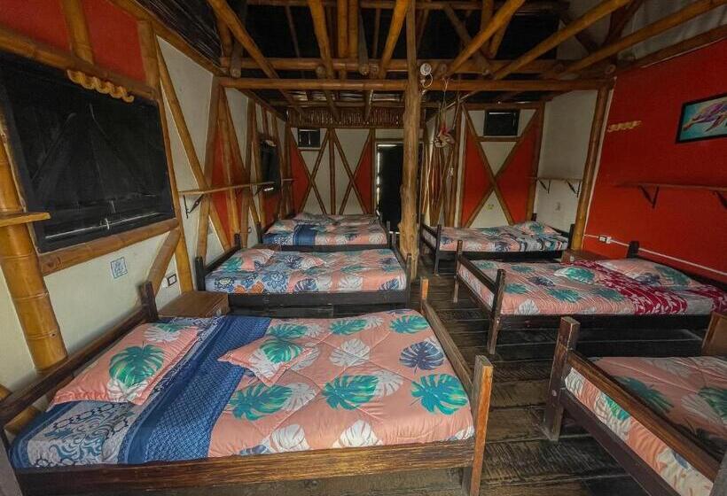 تختخواب در اتاق مشترک, Hostal Bambu