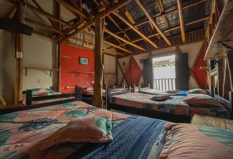 سرير فى غرفة مشتركه, Hostal Bambu