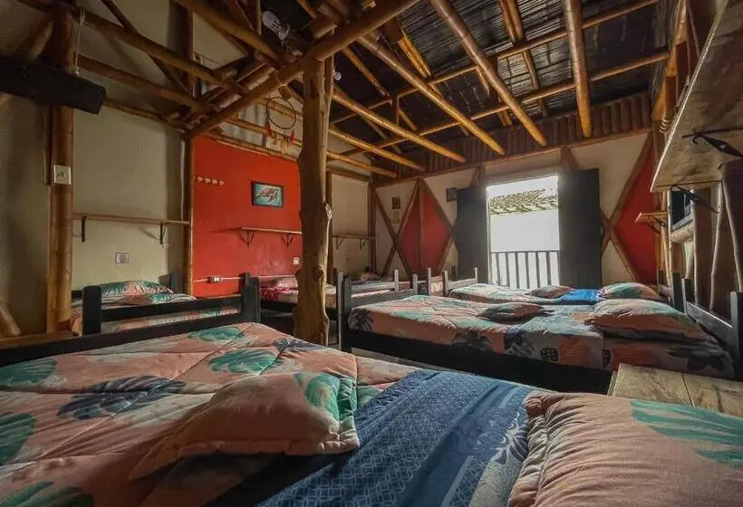 ルームシェアのワンベッド, Hostal Bambu