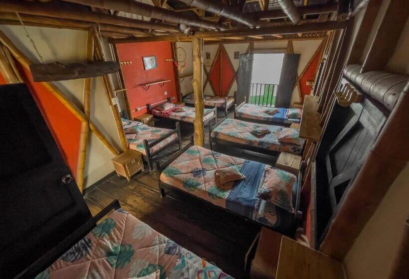 共用房间的床, Hostal Bambu