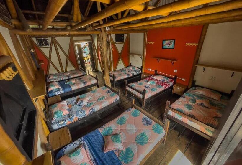 سرير فى غرفة مشتركه, Hostal Bambu